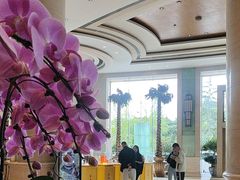 -成都泰合国际大饭店(春熙路太古里店)