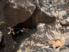 -天津盘山风景名胜区
