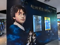 -星河寰宇IMAX影城(星河WORLD·COCO Park店)