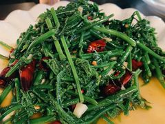 水蕨菜-锅贴杨一手特色豆花烤鱼饭店(荔波美食街店)