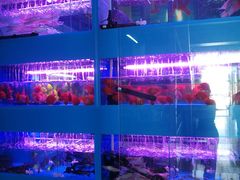 -三旗百汇商品城