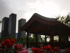 -西海子公园