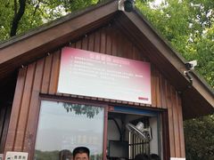 -西湖外事游船(花港观鱼码头)