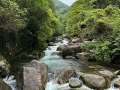 -大鄣山卧龙谷景区