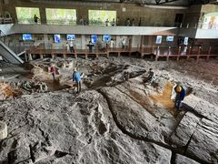 -自贡恐龙博物馆