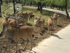 -西安秦岭野生动物园
