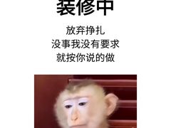 -聚通装潢(浦东旗舰店)