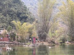 -靖西鹅泉风景区