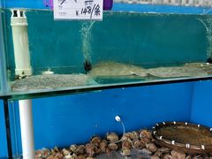 水产区-港畔赶海蒸汽海鲜烧烤自助(仙螺岛店)