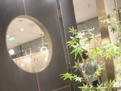 -刘胖子家常菜·蹄花焖藕(中南店)