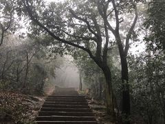 -西湖风景区十里琅珰-五云山