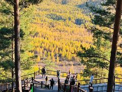 -莫尔道嘎国家森林公园