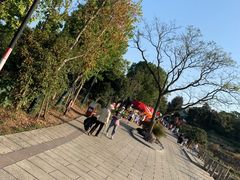-巢湖姥山岛