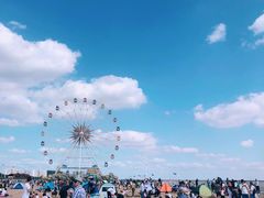 -碧海金沙