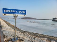 -南大港湿地风景区