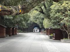 -东西巷