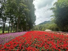 -青城山