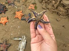 -东戴河风景区-止锚湾