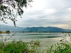 -长兴太湖图影湿地文化园