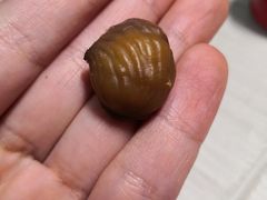 -金栗王(清扬路店)