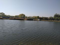 -大兴滨河森林公园