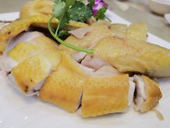 白切文昌鸡-墨脱石锅椰子鸡•香草鸭•东山羊(大东海店)