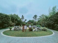 -菊花台公园