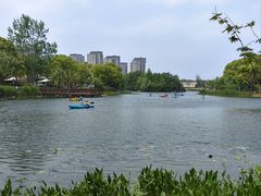 -新江湾城公园
