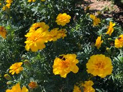 -金石唐风国际温泉会馆