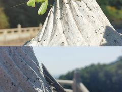 -灵山胜境