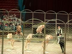 -俄罗斯国家大马戏团