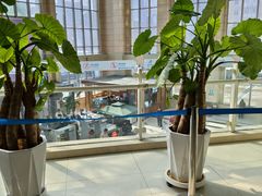 -哈尔滨医科大学附属第一医院(南岗院区)