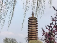 -西海子公园