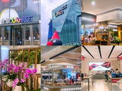 -合景·悠方(成都店)