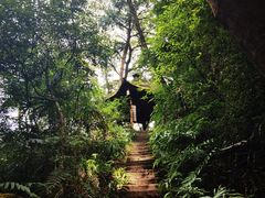 -青城山