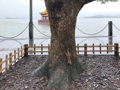 -阿迪达斯(武林银泰三叶草店)