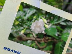 -广州花园酒店