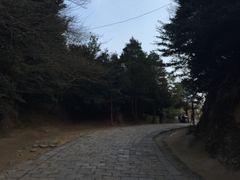 -普陀山风景区-佛顶山