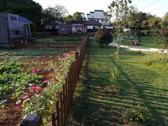 -龙湖东院农庄(乡间小路店)