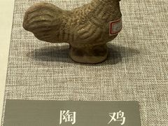 -海口市博物馆
