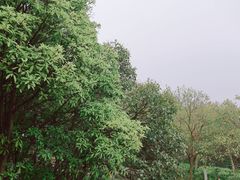 -大蜀山国家森林公园