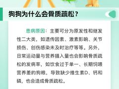 -瑞派申生动物医院·24H夜诊·国际动物医疗中心·骨外科(吴中路店)