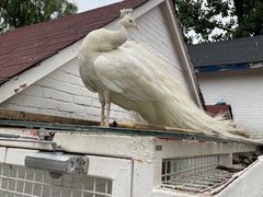 -金庭庄园酒店-停车场