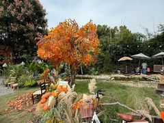 -HERRE·FARM 赫尔露营农场·团建聚会包场