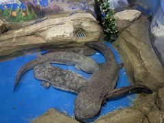 -石林冰雪海洋世界