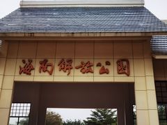 -临高角