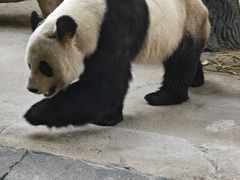 -杭州野生动物世界