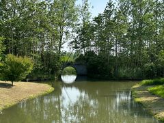 -溱湖国家湿地公园