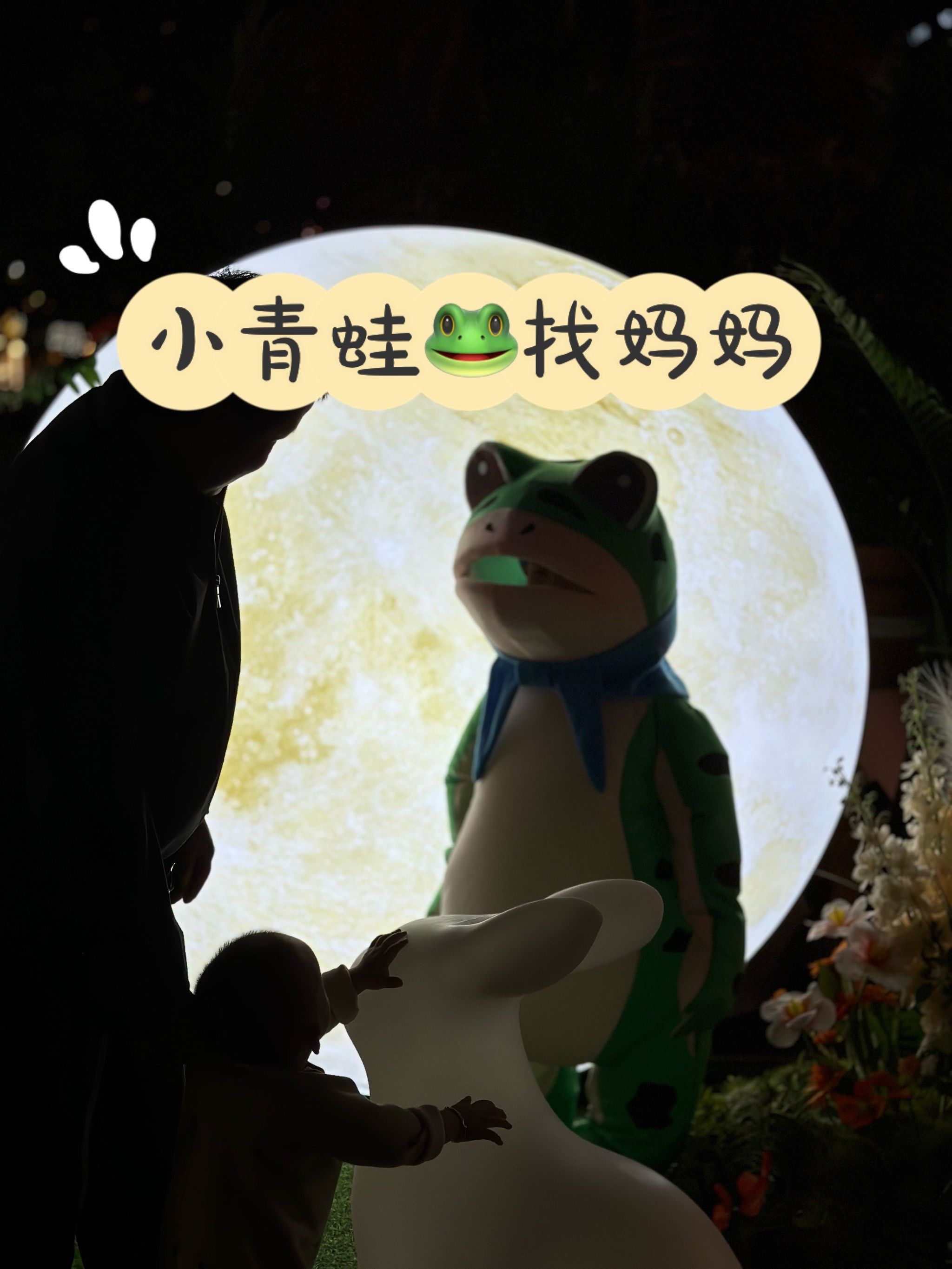 捕捉到一只迷路的小青蛙90