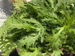-捞王猪肚鸡火锅(金华义乌之心店)